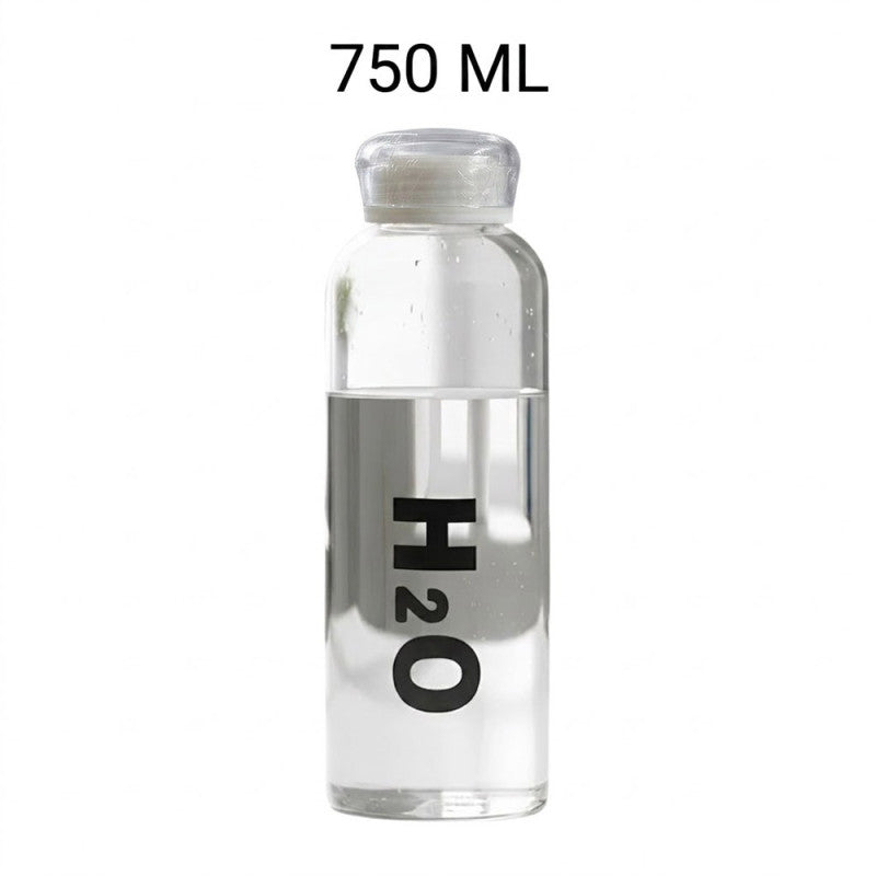 Borosilicate Glass Water Bottle H2O Style Leakproof Bottle